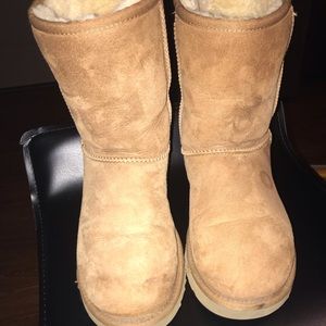 Tall Tan Uggs